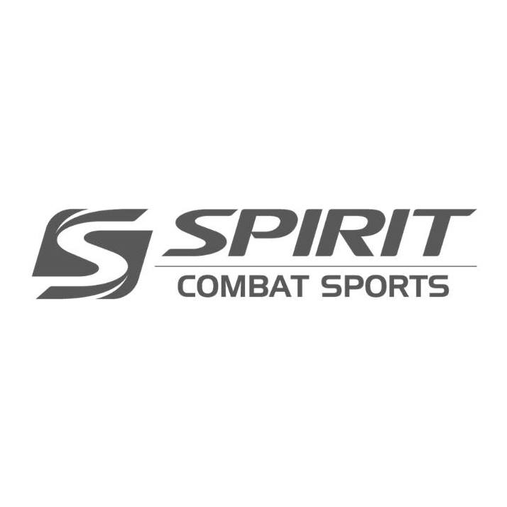 MMA TRAINING GLOVES – Spirit Combat Sports