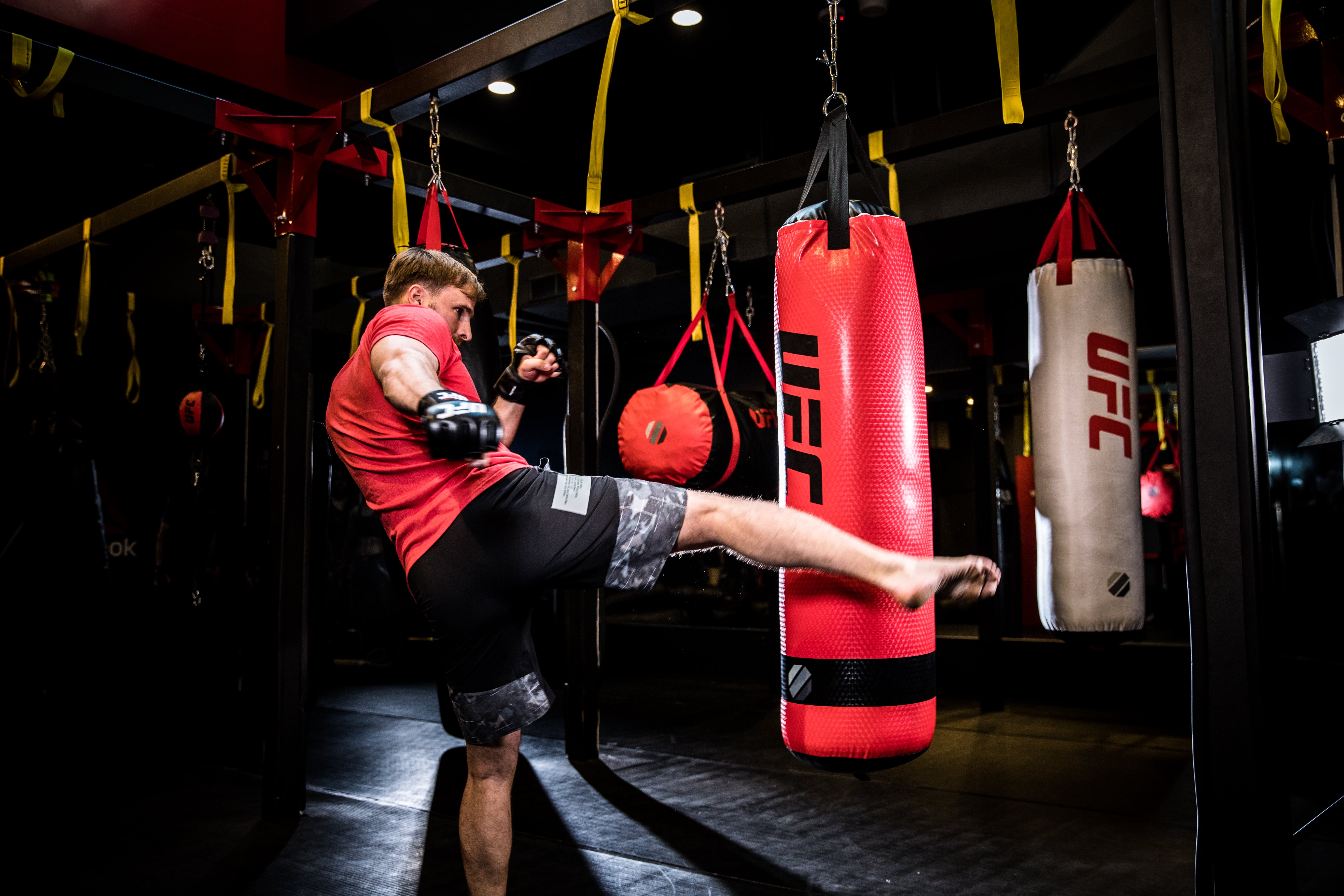 UFC MMA Heavy Bag - 80 LBS