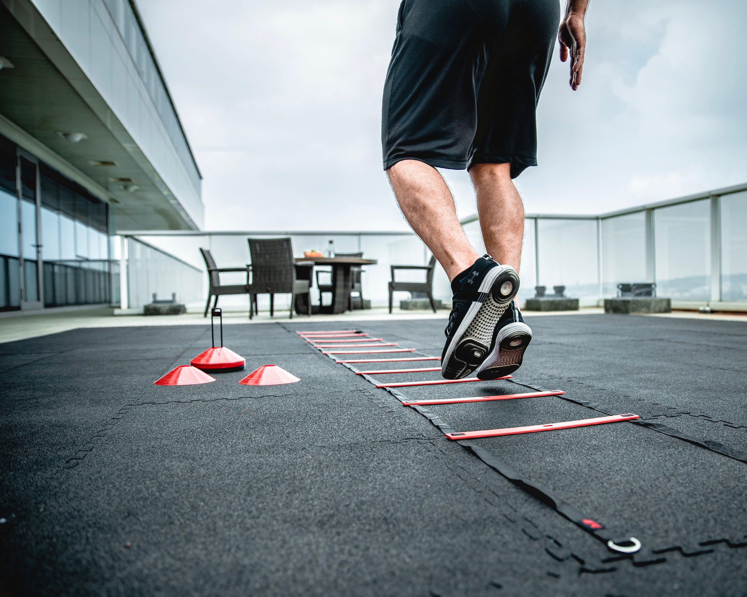 UFC Speed Ladder